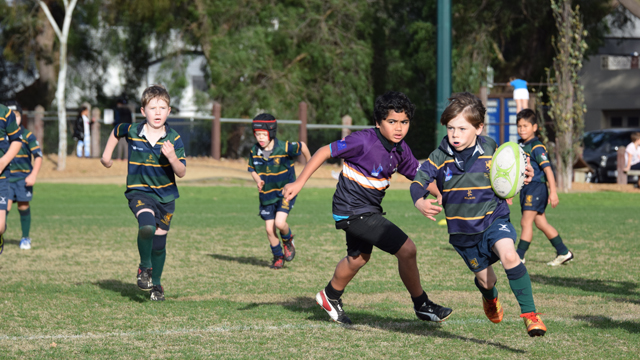 Melbourne Rugby Union Under 8