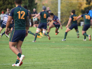 Review Rd 14 Dewar Shield Box Hill v Melbourne