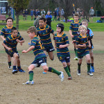 Junior Rugby increases in Victoria Melbourne Rugby Club
