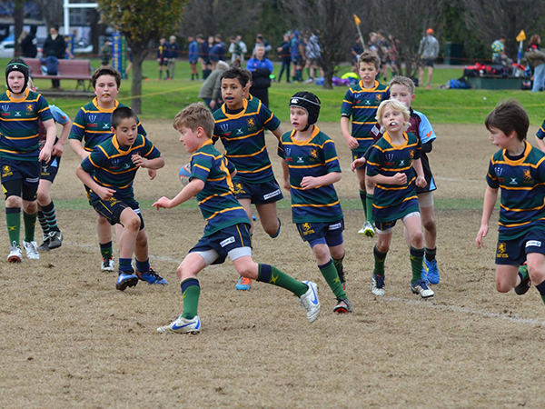 Junior Rugby increases in Victoria Melbourne Rugby Club