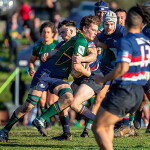 Melbourne Rugby Club Dewar Shield Preview Round 12