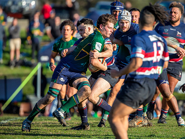 Melbourne Rugby Club Dewar Shield Preview Round 12